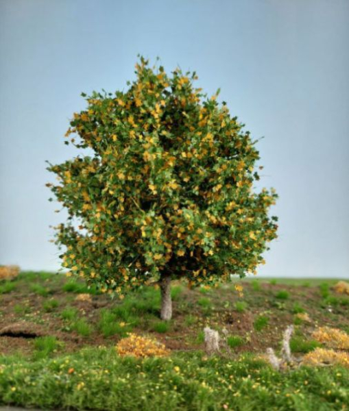 Ahorn Frühherbst Profiline