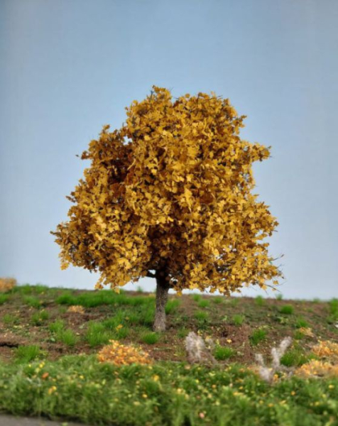 Ahorn Herbst Profiline