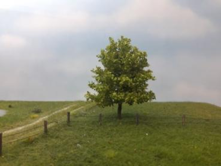 Frühling