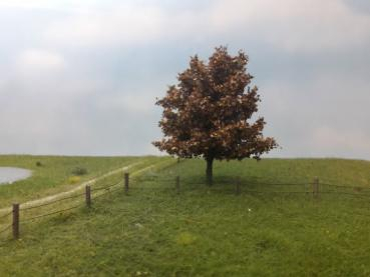 Frühherbst