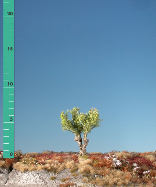 Willow stump (1:87) spring