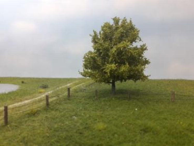 Frühling