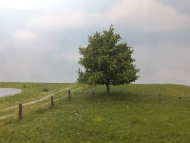 Frühherbst