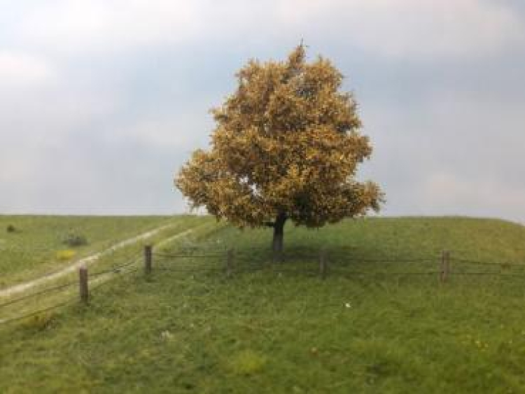 Spätherbst