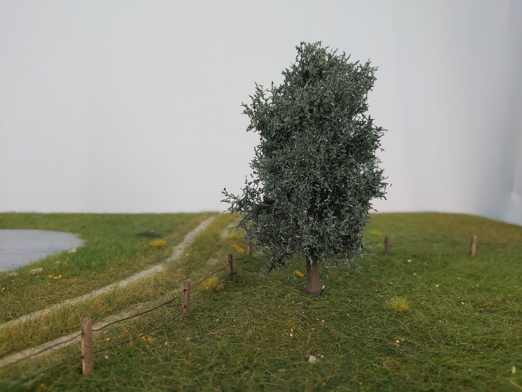 Silver Willow Profiline