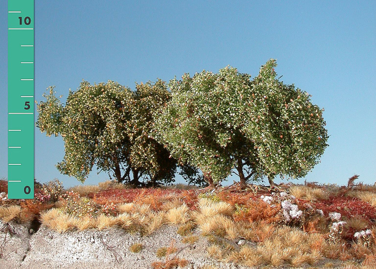 Low shrubs (1:45+) early fall, 2 Stück