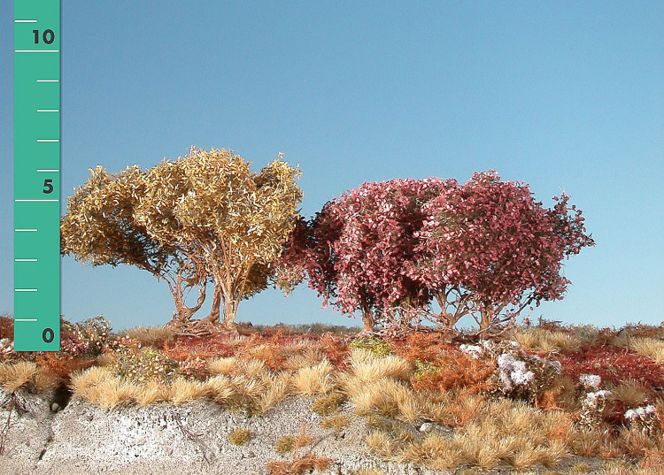 Low shrubs (1:45+) late fall, 2 pieces