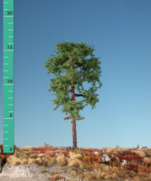 Forest pine assembly kit (1:160-220) summer