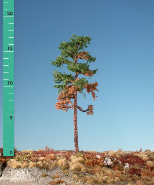 Weathered forest pine assembly kit (1:87) summer