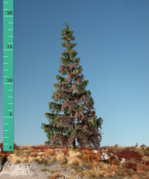 Weathered green spruce kit (1:87) summer