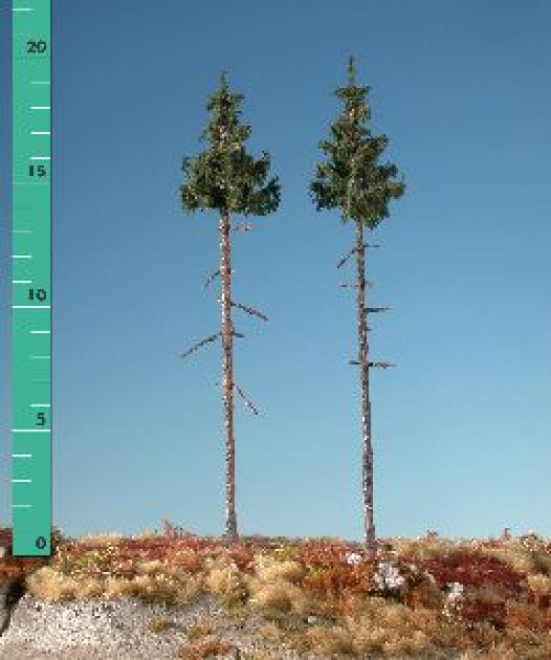 Inside forest nordic fir kit (1:160-220) summer