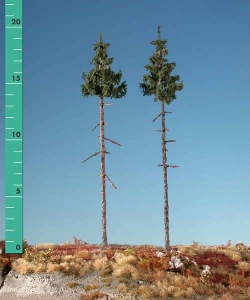 Inside forest green spruce kit (1:87) summer