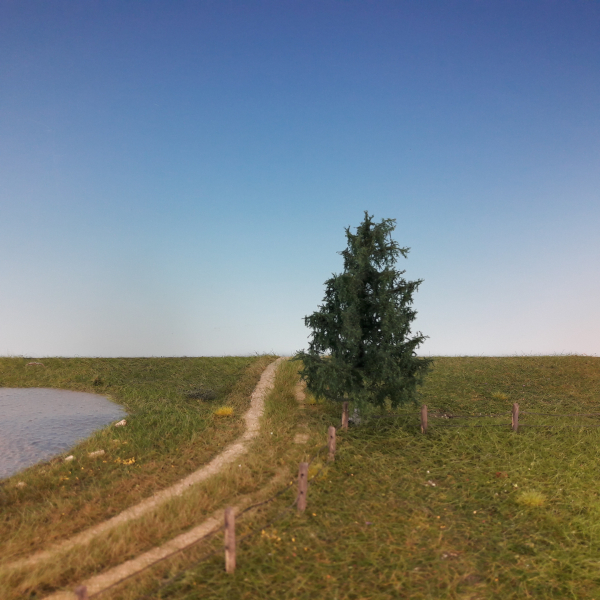 Nordic Fir Profiline