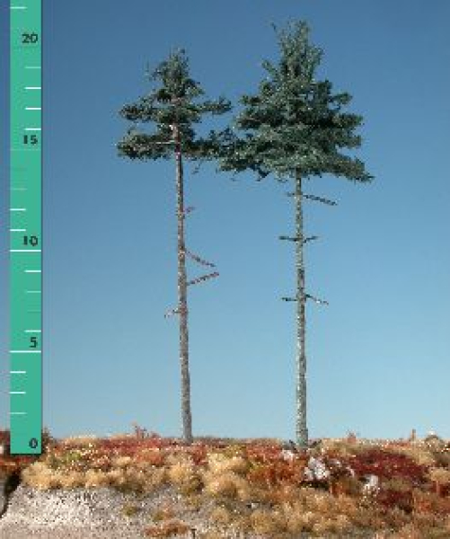 Inside forest nordic fir kit (1:87) summer