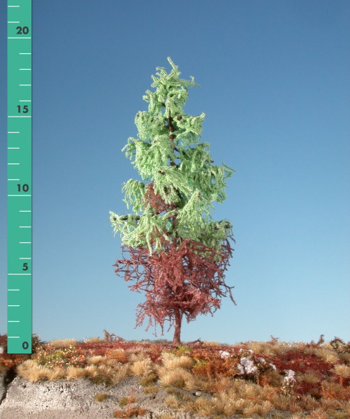 Weathered larch (1:87) spring