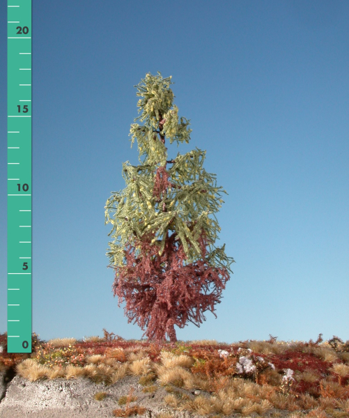 Weathered larch (1:87) early fall