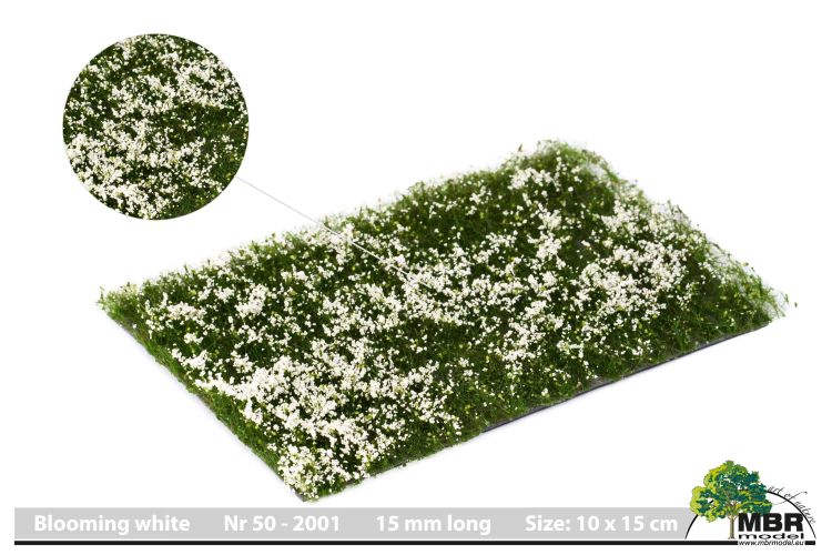 Blumen Weiß blühend