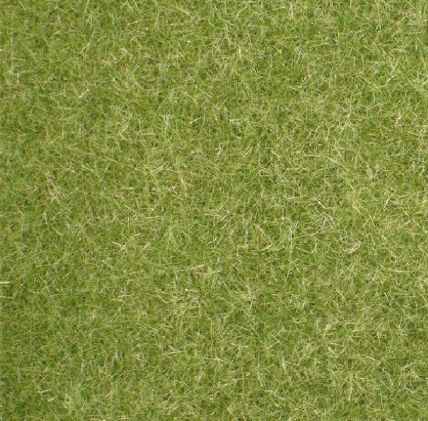 Short lawn (1:87) early fall