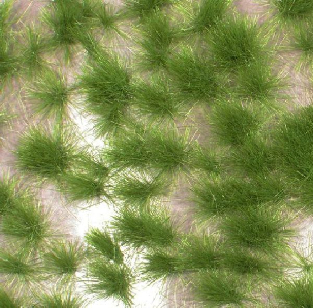 Long tufts (1:45+) summer