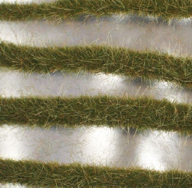 Two coloured grass strips (1:45+) early fall
