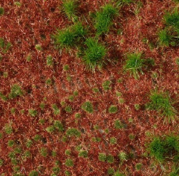 Overgrown forest groundcover (1:87) summer
