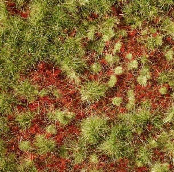 Overgrown forest groundcover (1:87) early fall