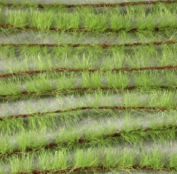 Agricultural strips (1:45+) spring