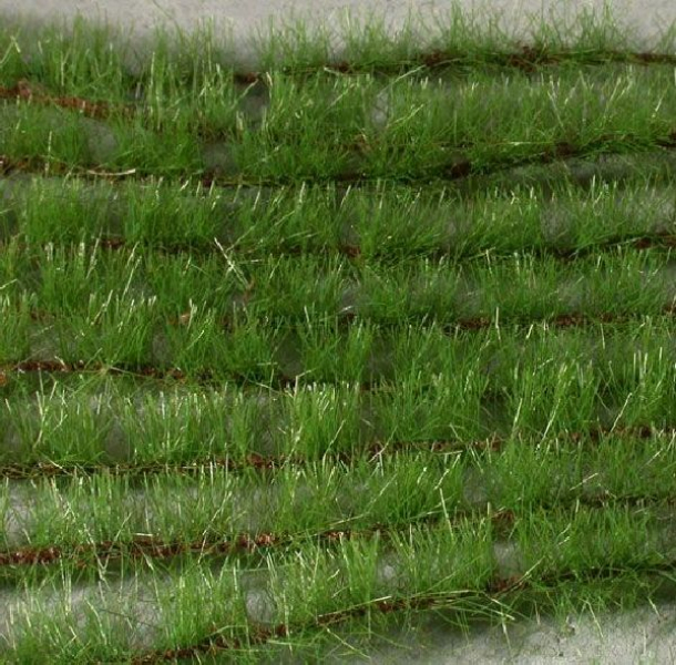Agricultural strips (1:45+) summer