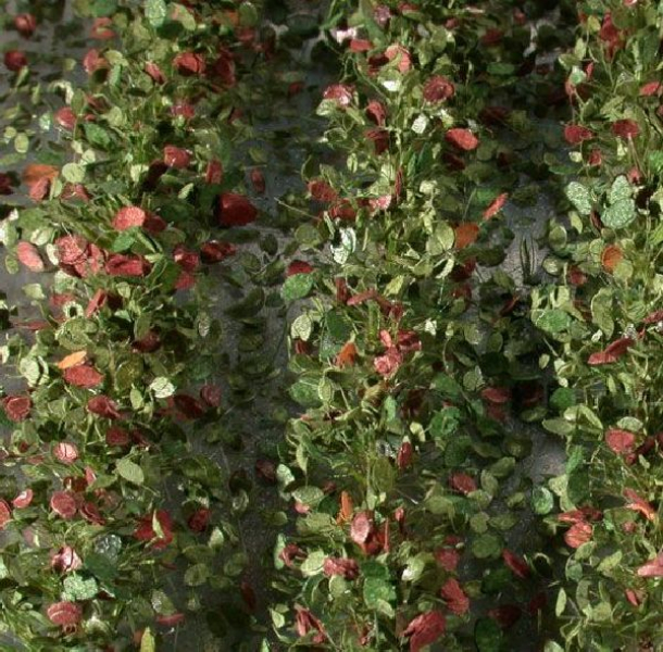 Agricultural strips with leaves (1:45+) early fall