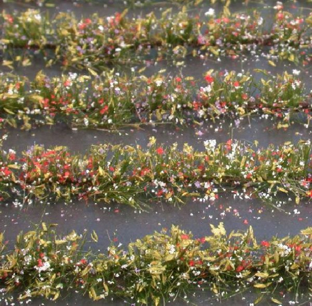 Flower field strips (1:87) colourful