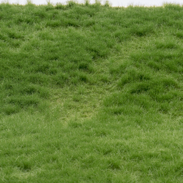 grass mat summer