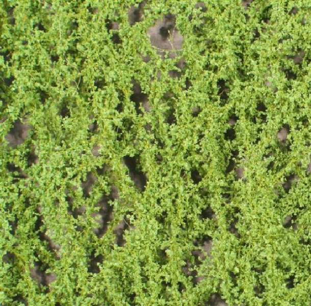 Oak foliage (1:160-220) spring