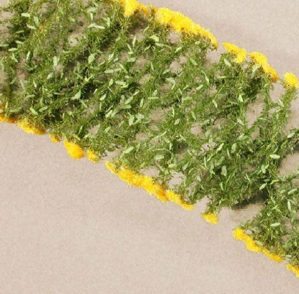 Goldenrod (1:87)  summer