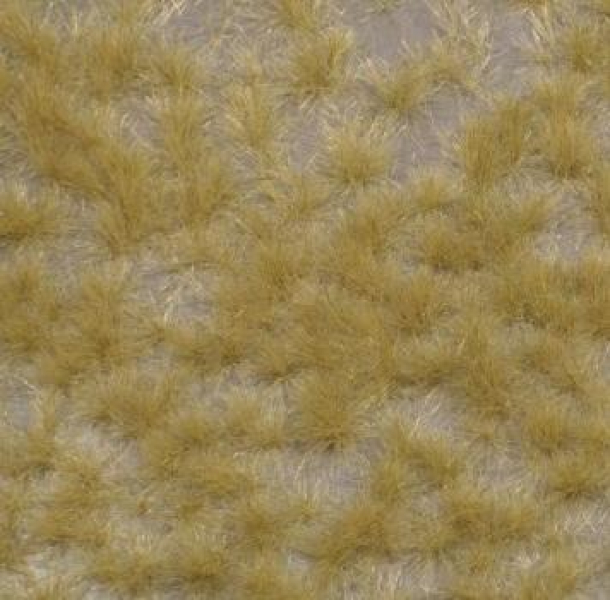 Long tufts (1:87) late fall