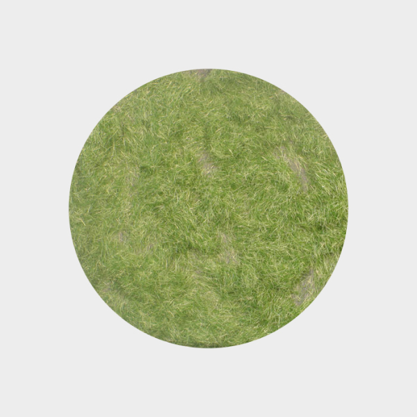 Grass flocking early fall