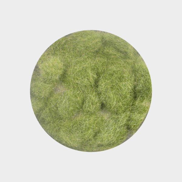 Grass flocking early fall