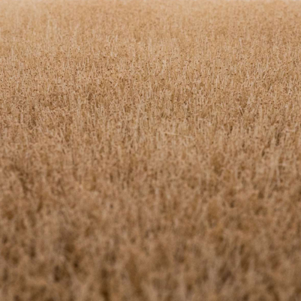 Grasmatte Kornfeld Sommer