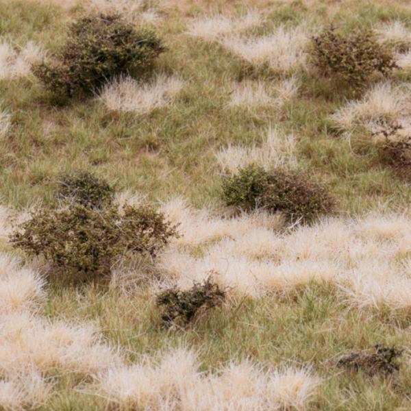Grasmatte Wildwuchs Sommer
