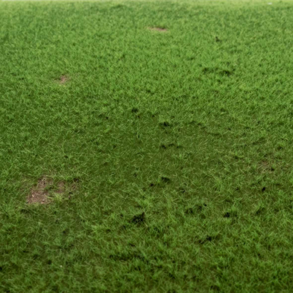 Grasmatte Viehweide