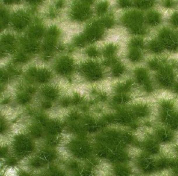 Long tufts (1:87) summer