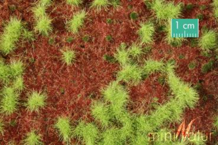 Overgrown forest groundcover (1:87) spring