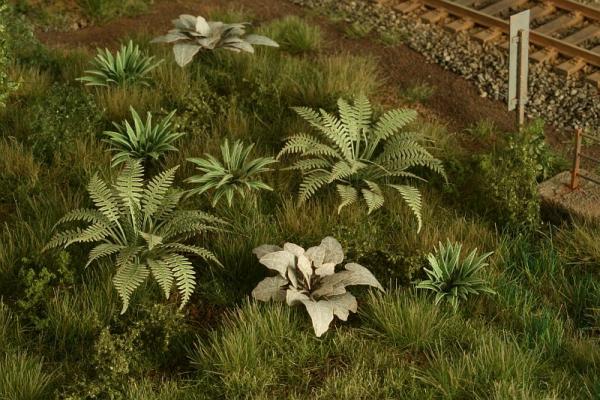 Dry Fern