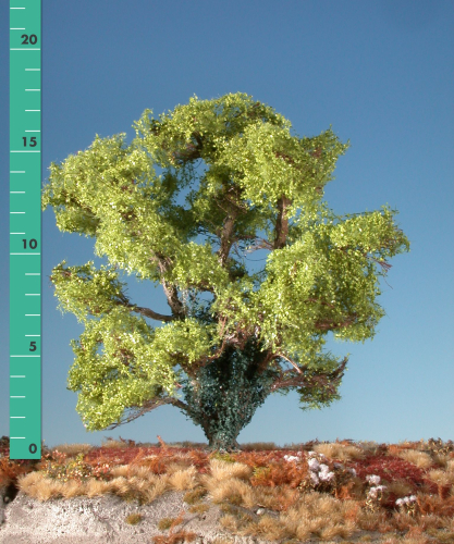 Beech overgrown with ivy (1:87) spring
