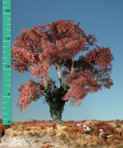 Beech overgrown with ivy (1:87) late fall