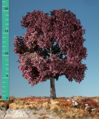 Red maple (1:87) summer