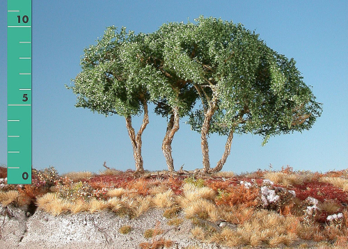 Busch hoch, ca. 19 cm (1:45+) Sommer