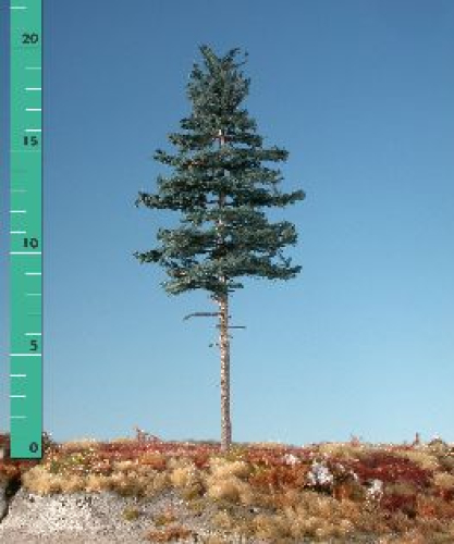 Bausatz Tanne, Hochstamm (1:87) Sommer