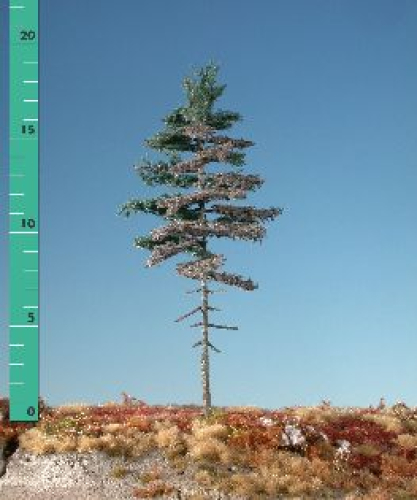 Bausatz Wettertanne, Hochstamm (1:87) Sommer