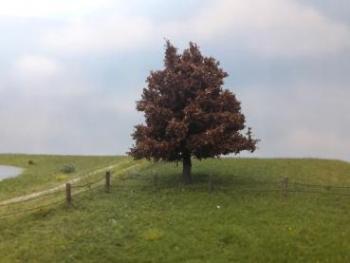 Late Fall