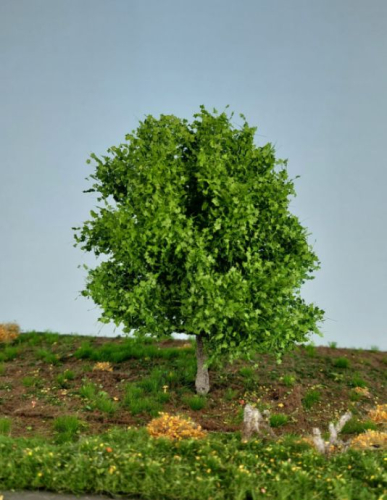 Kastanie Frühling Profiline